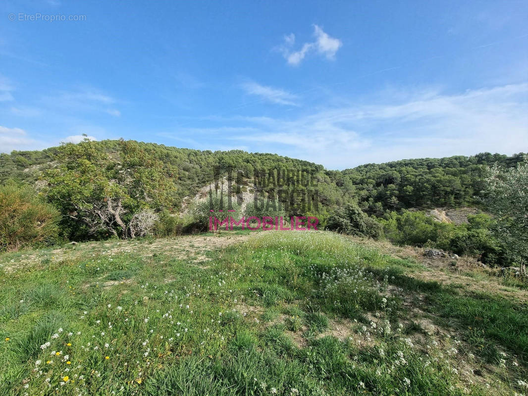 Terrain à LE BARROUX