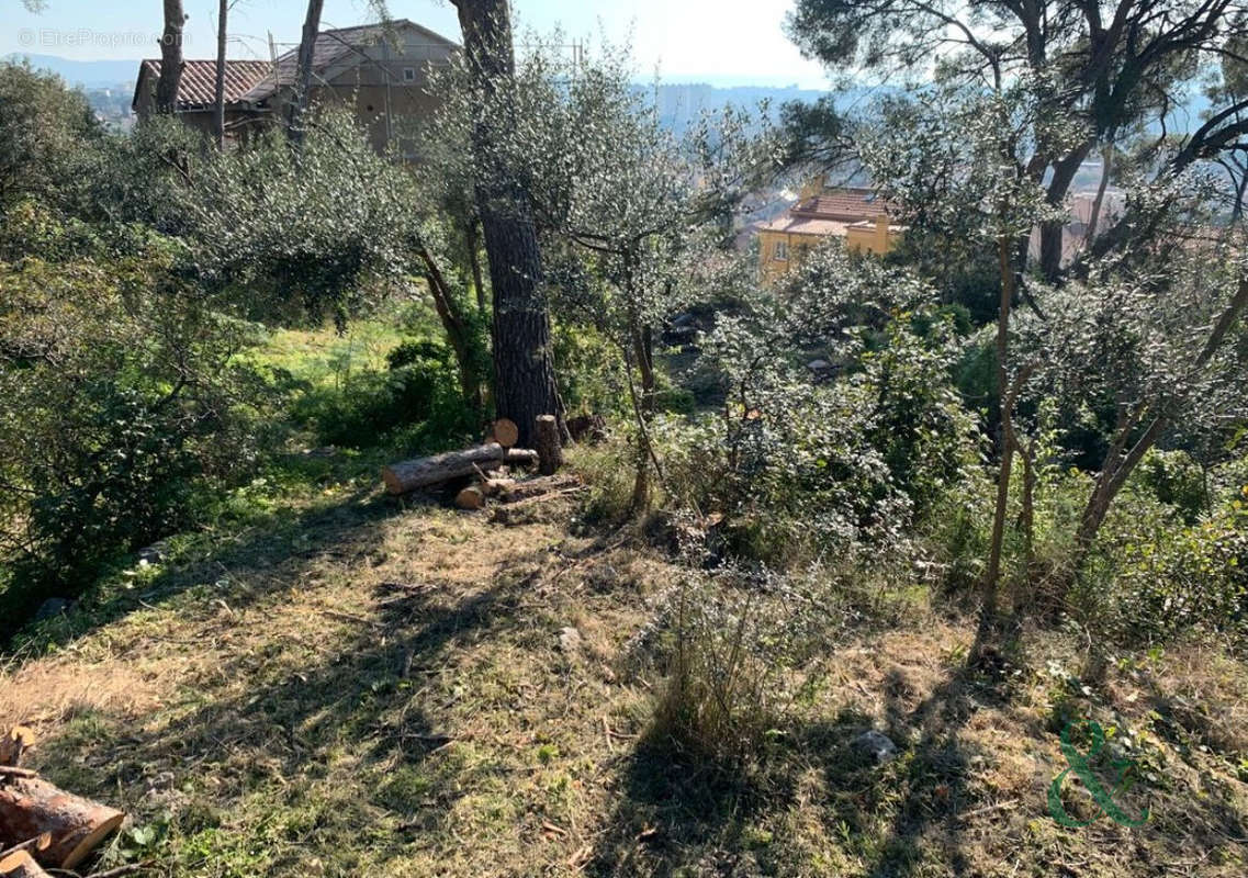 Terrain à TOULON