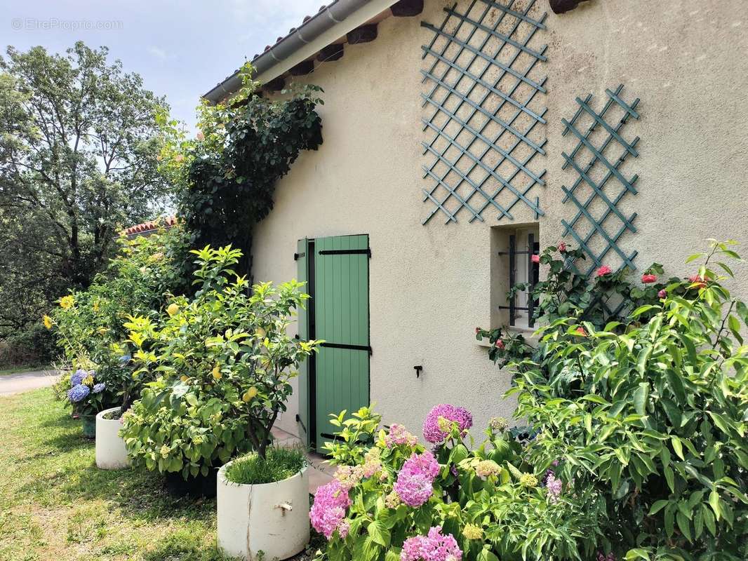 Maison à CASTRES