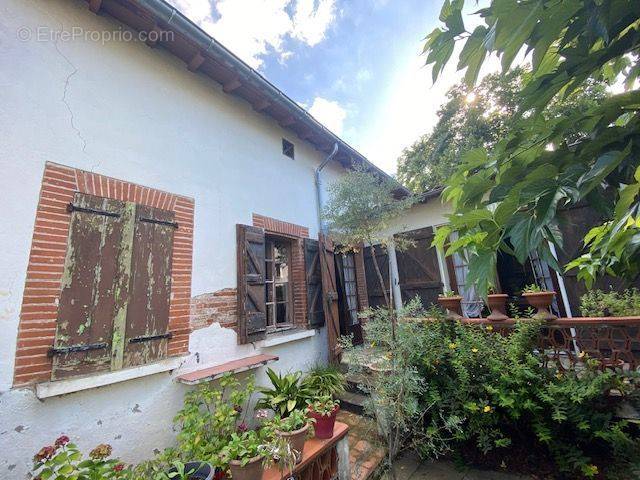 Maison à TOURNEFEUILLE