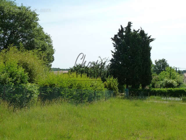 Terrain à SAINT-LAURENT-LA-VERNEDE