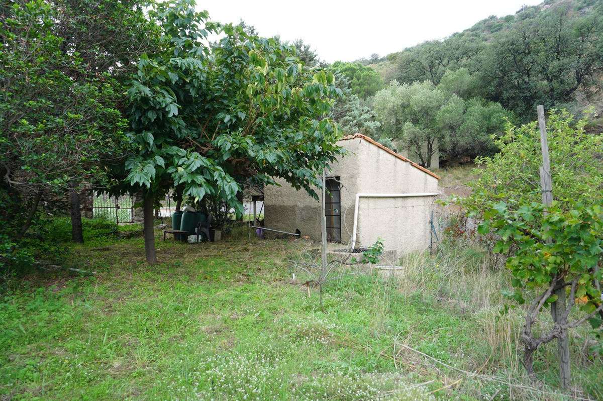 Terrain à COLLIOURE