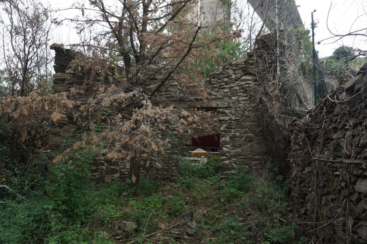 Terrain à COLLIOURE