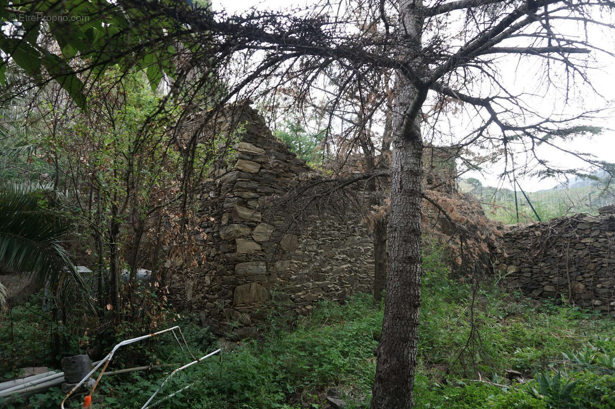 Terrain à COLLIOURE