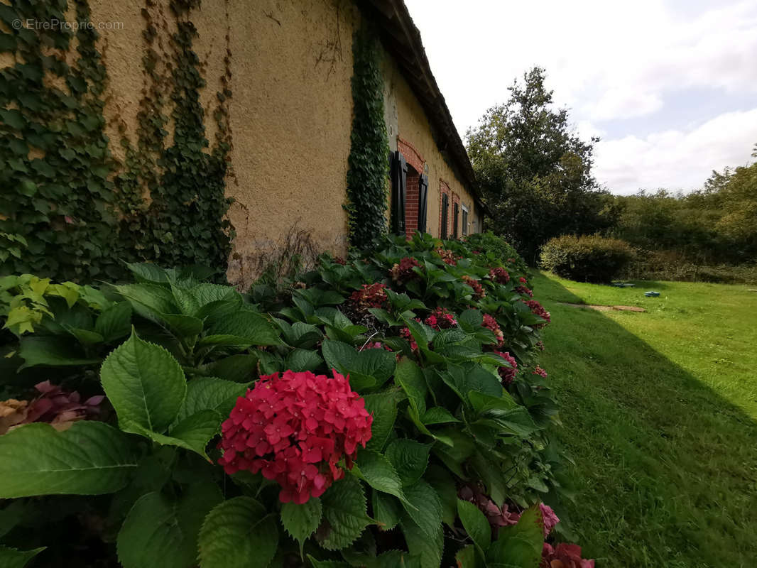 Maison à COURMEMIN