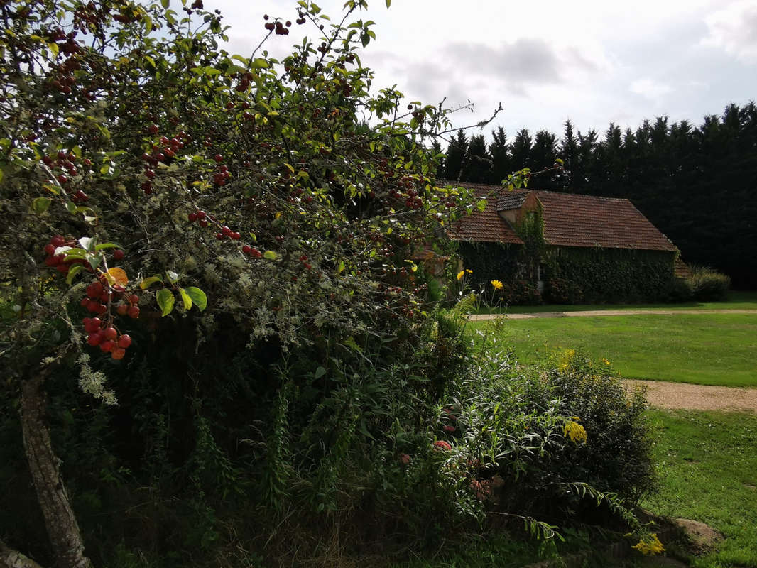 Maison à COURMEMIN