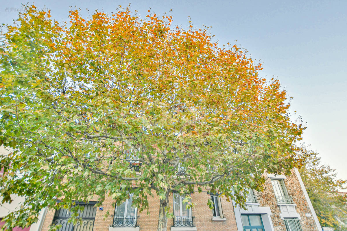 Appartement à MONTREUIL