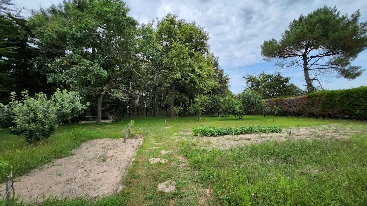 Maison à SAINT-HILAIRE-DE-RIEZ