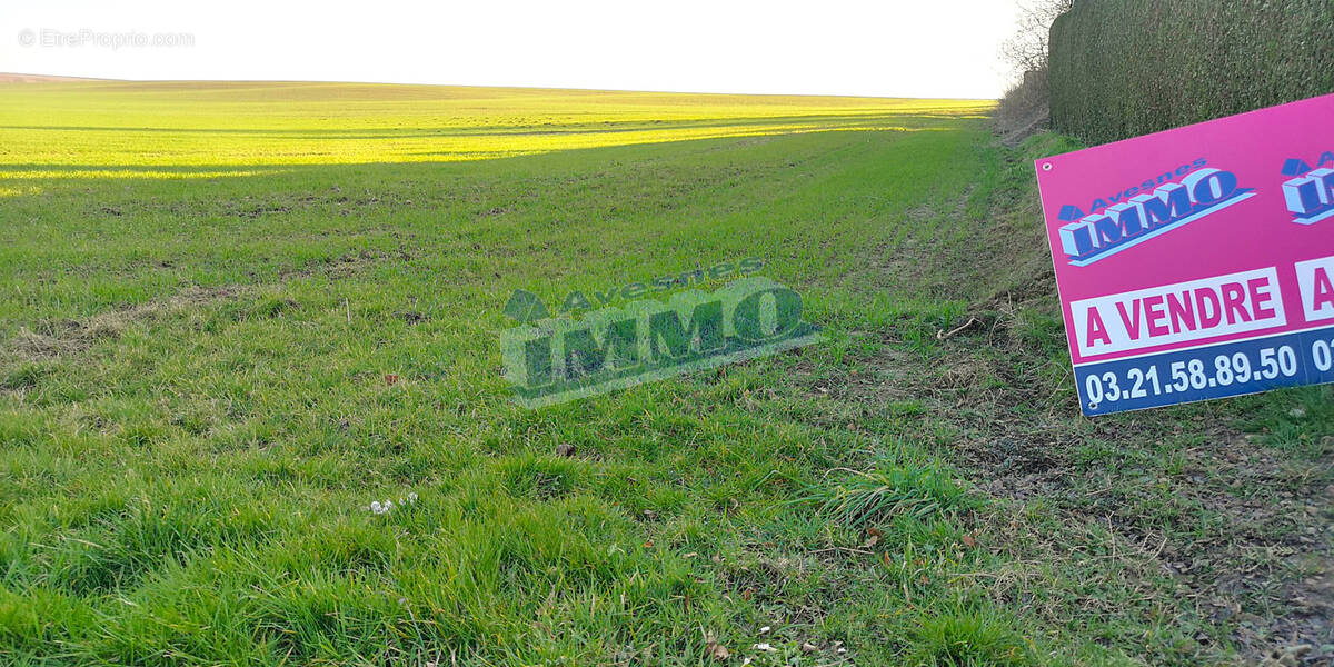 Terrain à AUBIGNY-EN-ARTOIS