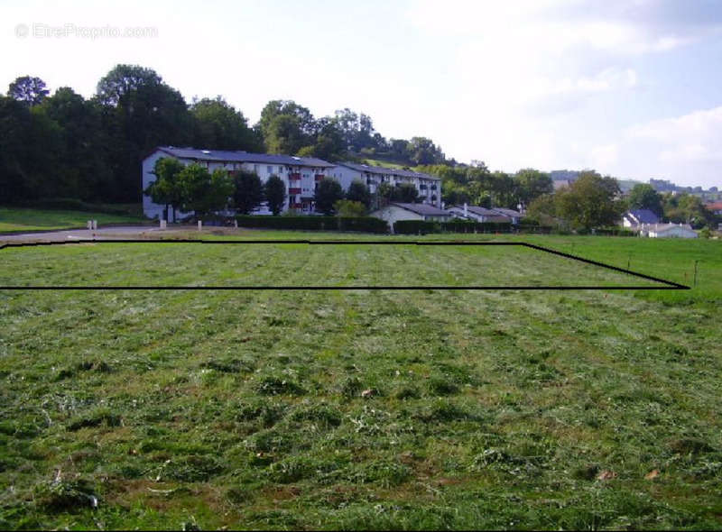 Terrain à MAULEON-LICHARRE