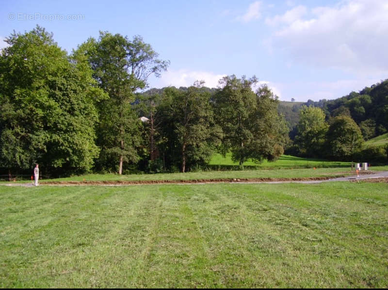 Terrain à MAULEON-LICHARRE