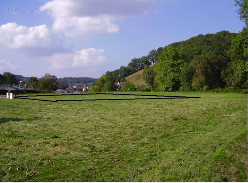 Terrain à MAULEON-LICHARRE