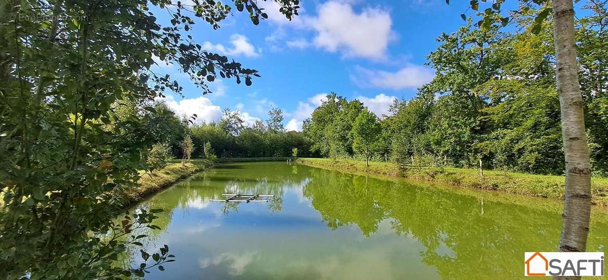 Photo 3 - Maison à LA FERRIERE-AUX-ETANGS