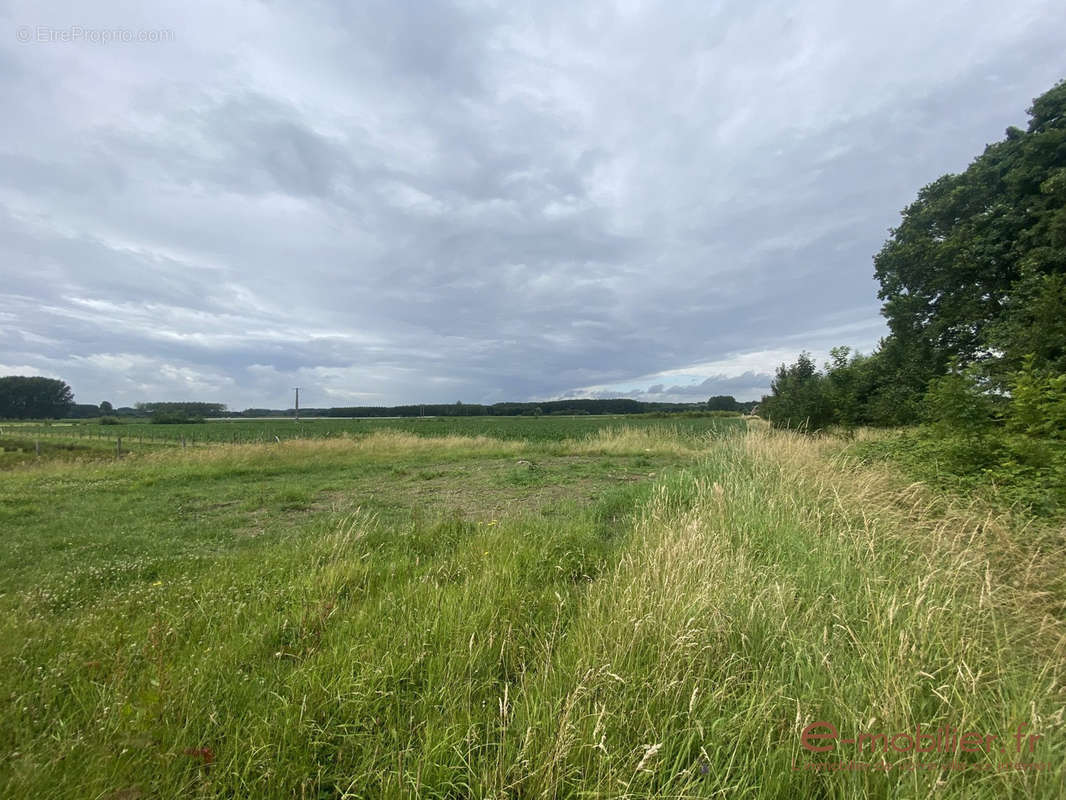 Terrain à GENECH