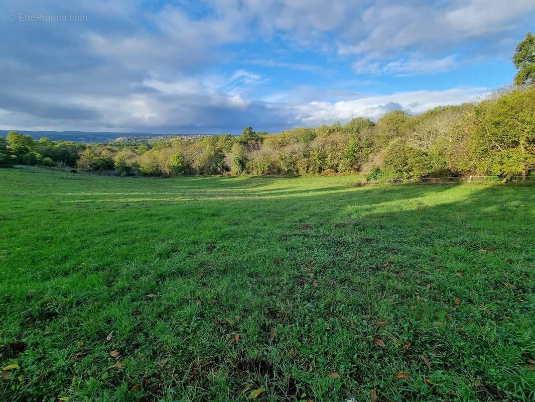 Terrain à DOMME