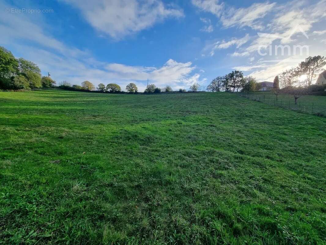 Terrain à DOMME