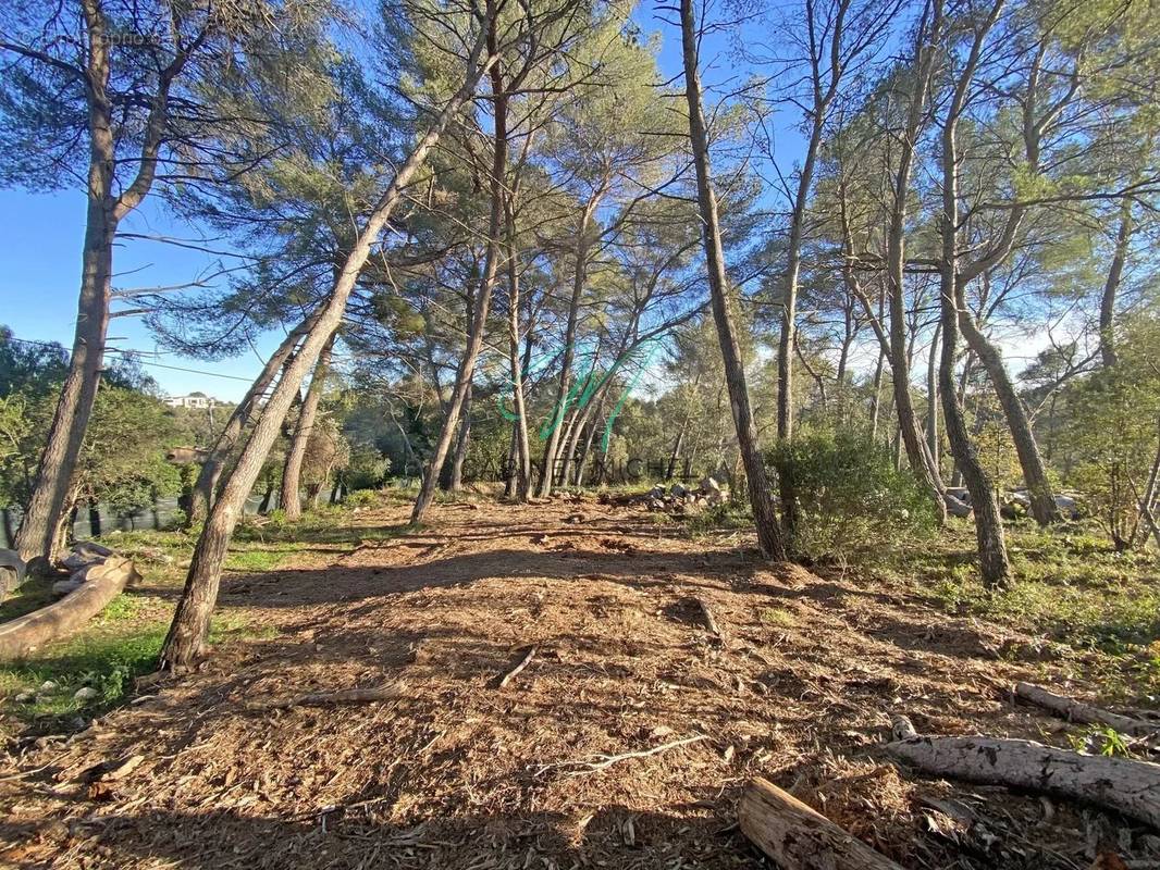 Terrain à ROQUEFORT-LES-PINS