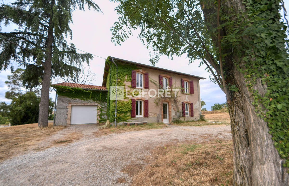 Maison à LISLE-SUR-TARN