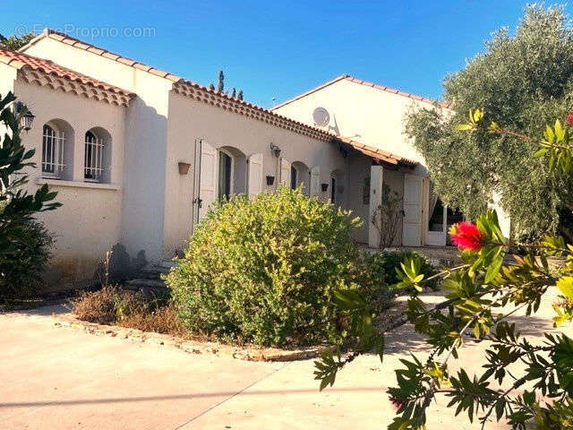 Maison à FRONTIGNAN