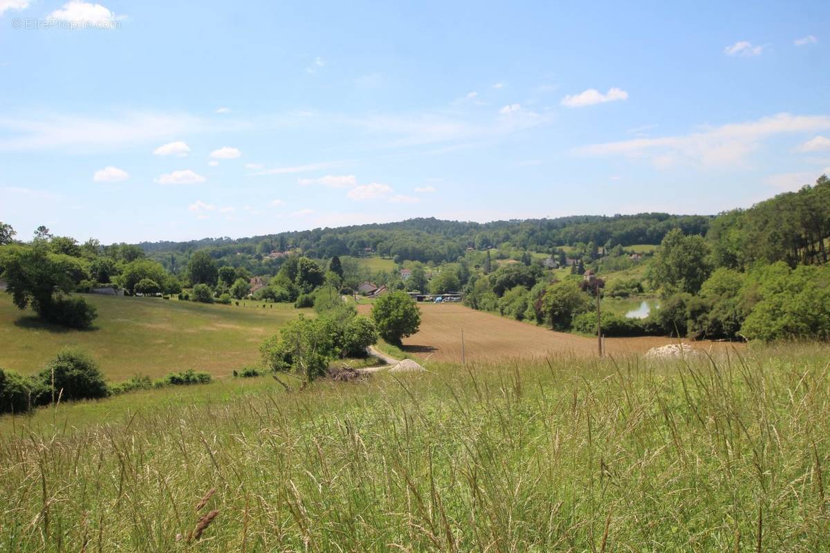 Terrain à SAINT-GERMAIN-DU-SALEMBRE