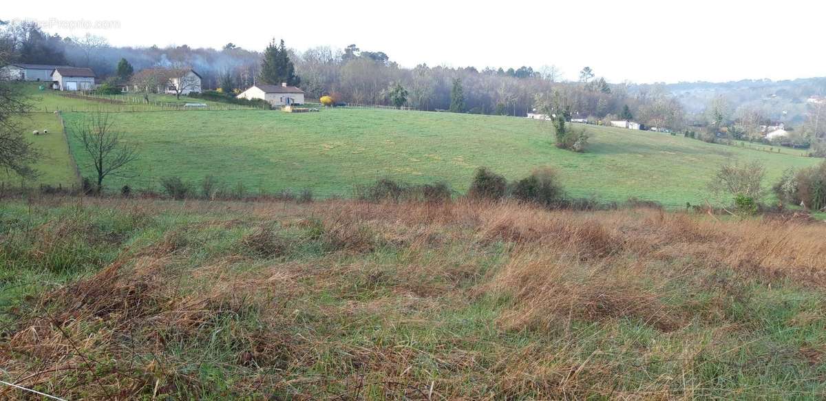 Terrain à SAINT-GERMAIN-DU-SALEMBRE