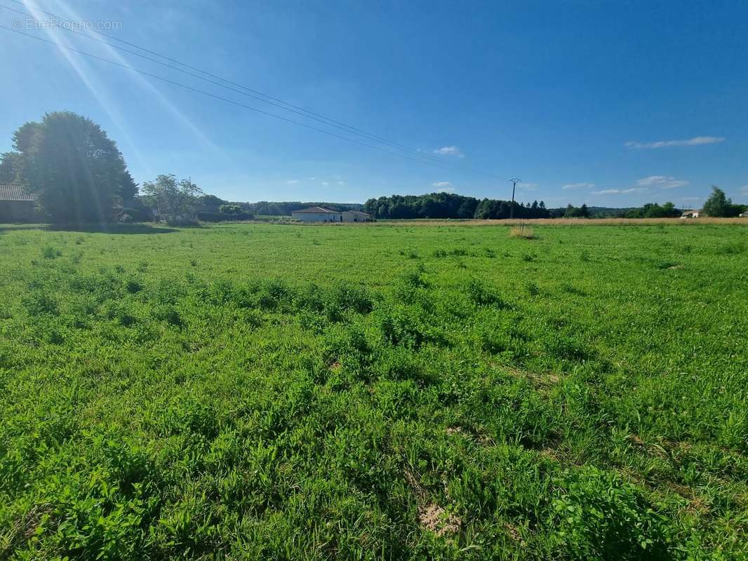 Terrain à SAINT-ASTIER