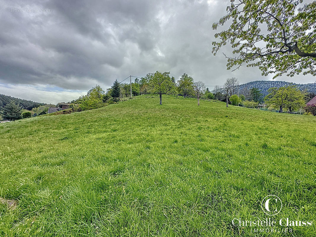 Terrain à WANGENBOURG-ENGENTHAL