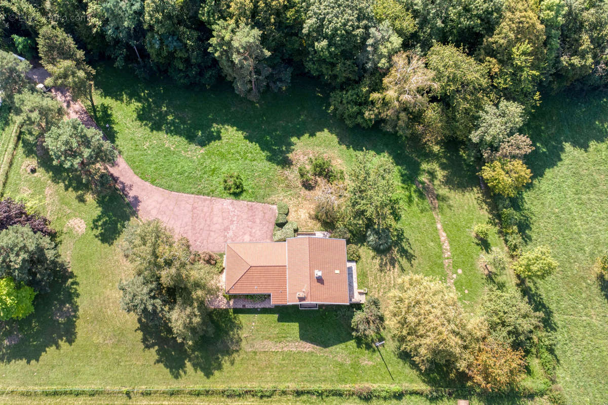 Maison à BRIE-ET-ANGONNES