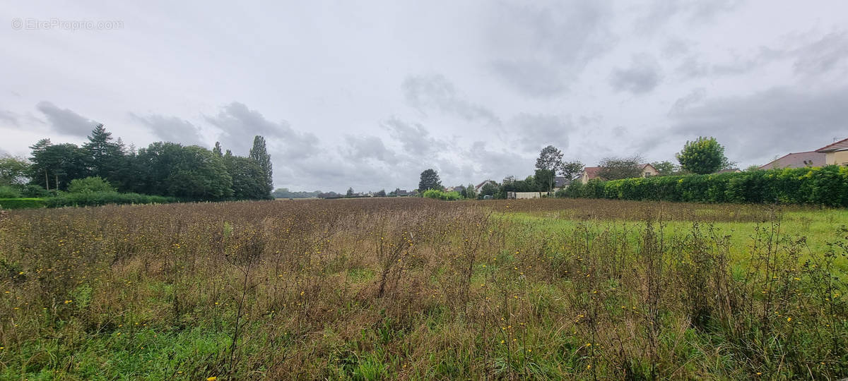 Terrain à COURLON-SUR-YONNE