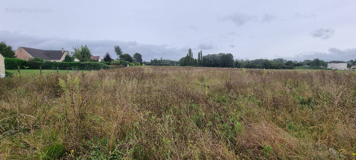 Terrain à COURLON-SUR-YONNE