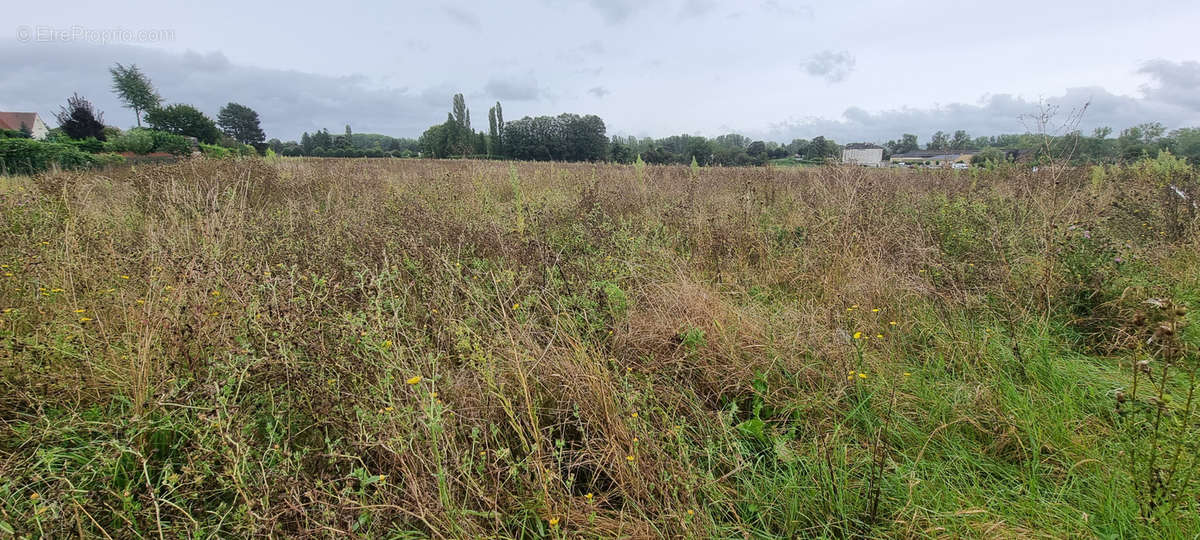 Terrain à COURLON-SUR-YONNE