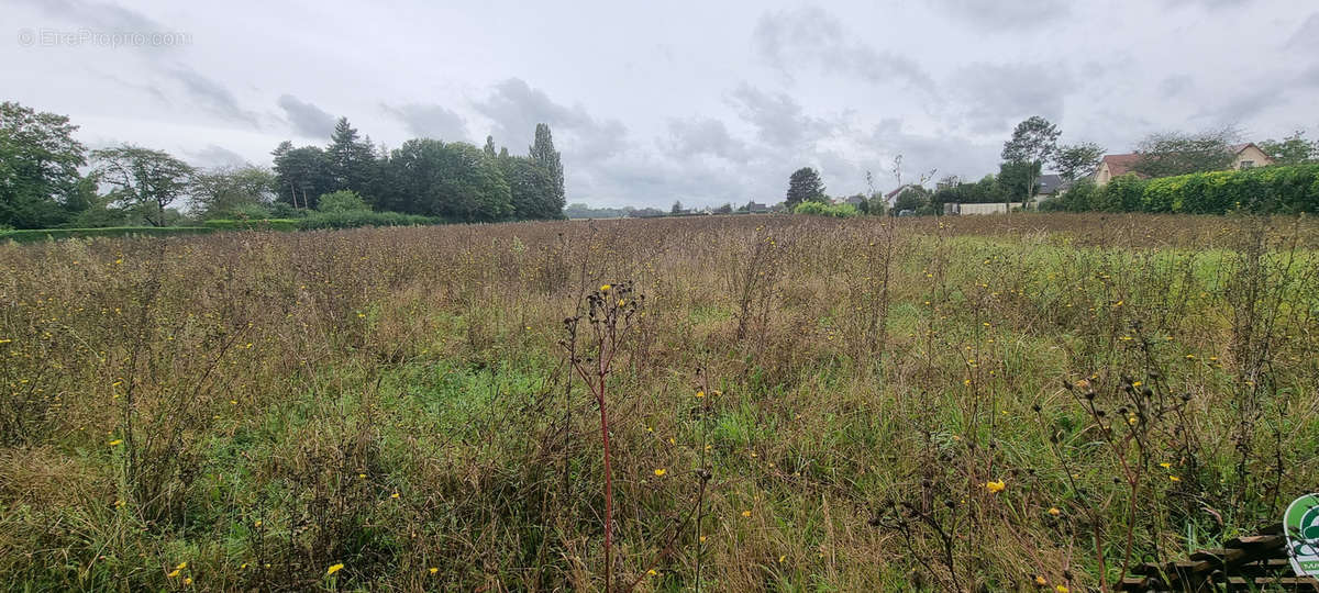 Terrain à COURLON-SUR-YONNE