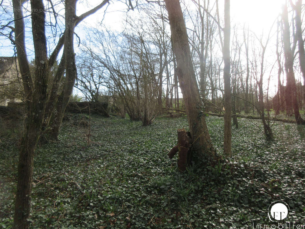 Terrain à SAINT-SIMEON