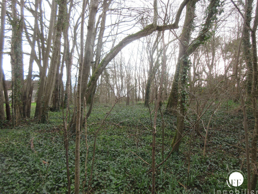 Terrain à SAINT-SIMEON