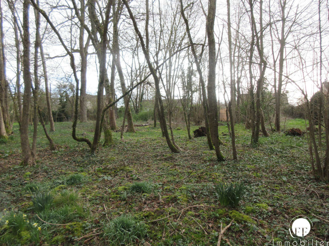 Terrain à SAINT-SIMEON