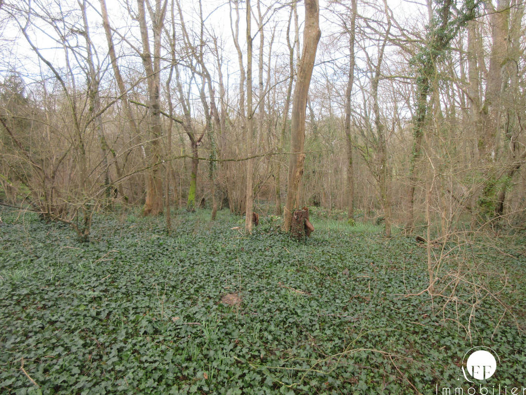 Terrain à SAINT-SIMEON