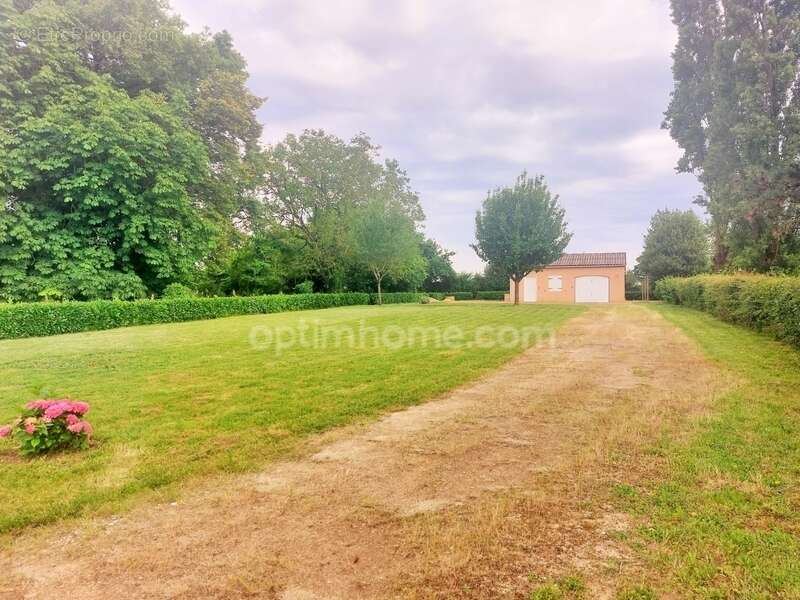 Terrain à SAINT-AMAND-EN-PUISAYE