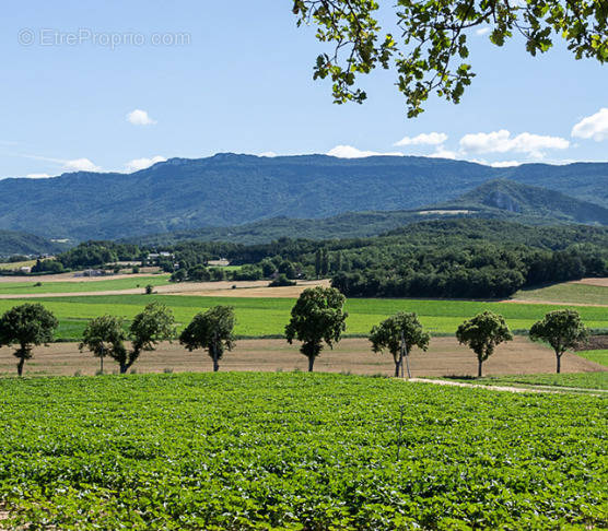 Commerce à MONTELIMAR