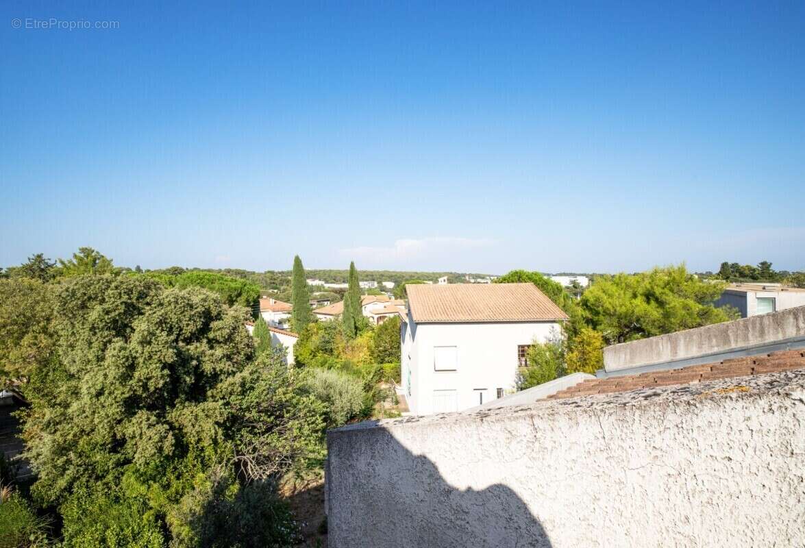 Maison à MONTPELLIER