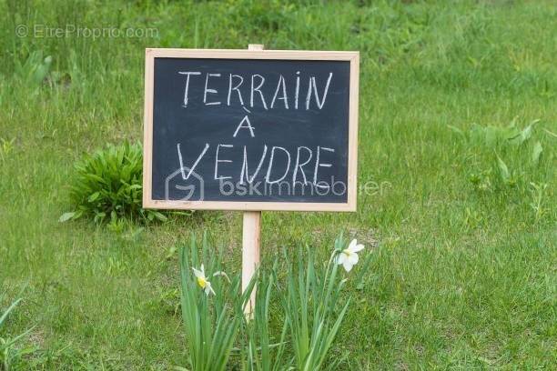 Terrain à ABLAINCOURT-PRESSOIR