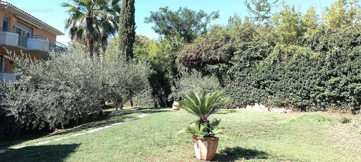 Appartement à DRAGUIGNAN