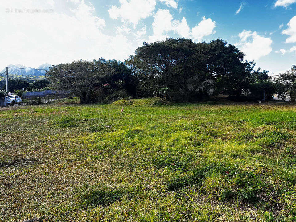 Terrain à SAINT-LOUIS