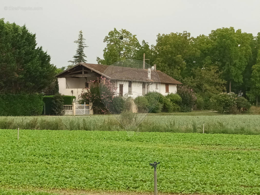 Maison à SAINT-GEORGES-DE-RENEINS