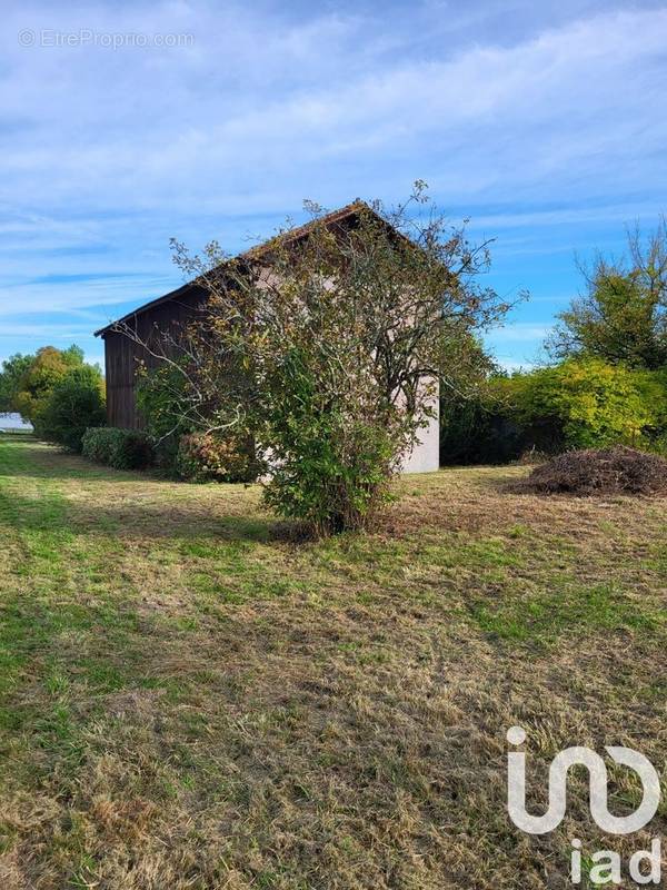 Photo 1 - Maison à BAZAS