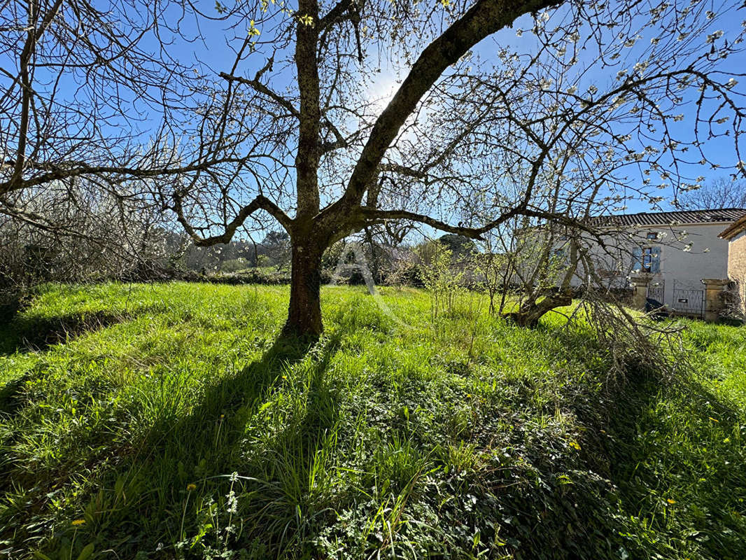 Maison à MONTCABRIER