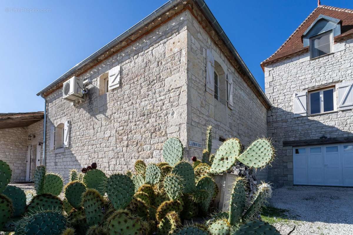 Maison à MONTAIGU-DE-QUERCY