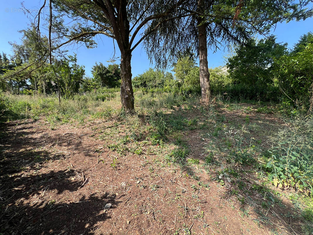 Terrain à NIORT