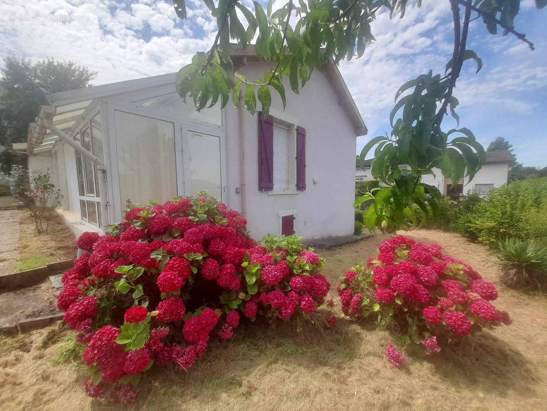 Maison à BELLEVILLE