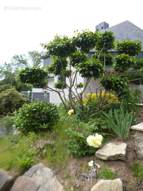 Maison à VANNES