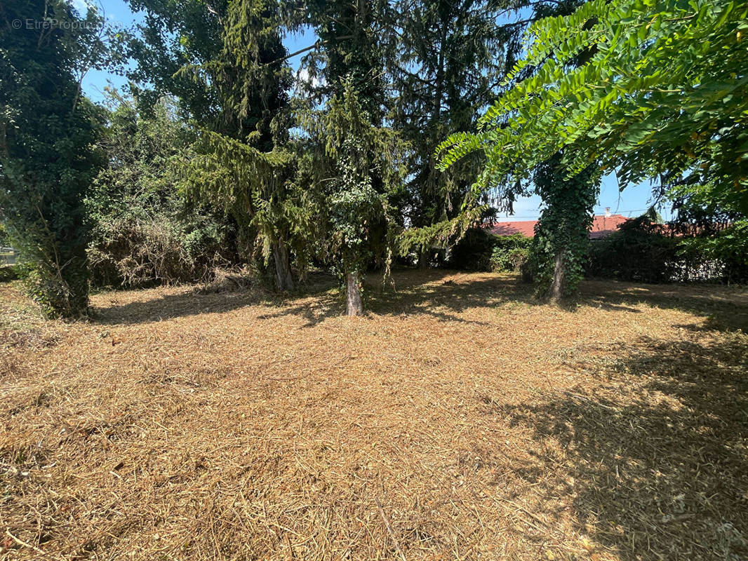 Terrain à CHAMAGNIEU